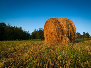 Rural landscape with one roll bale in field during dusk, straw haystack as cattle fodder