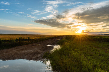 A dirt road in the hungarian countryside after a refreshing summer rain