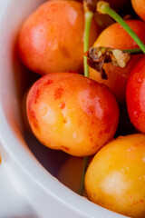 close up view of ripe rainier cherries with water drops in a white bowl