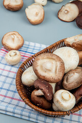 side view of fresh mushrooms in a wicker basket on light blue background