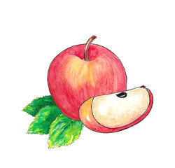 Hand drawn watercolor Natural ripe fruit - Apple