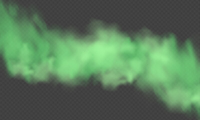 Green dust. Abstract blurry smoke with green particles. Smoke or dust isolated on transparent background. Abstract mystical gas. Vector illustration.