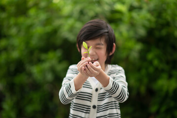 Asian Child Holding Young Plant In Hands With Nature Background