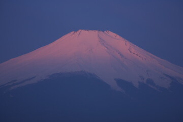 Fototapeta premium 朝焼けに赤く染まる富士山