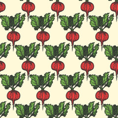 Beet Pattern Background. Vintage Drawing Pattern. Vector