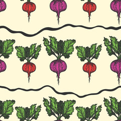 Table beet seamless pattern hand drawn background. Vintage background. Vector