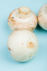 side view of fresh white mushrooms isolated on blue background