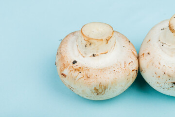 side view of fresh white mushrooms isolated on blue background with copy space