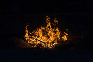 A bright bonfire on a solid black background. Flames of fire look like different shapes and objects