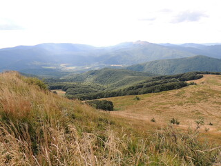 Fototapeta premium landscape