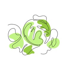 A head of cabbage is drawn with a single line. Agriculture. Vegetarian food.