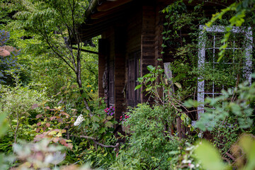 オールドガーデン