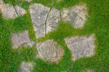 Landscaping of the garden with a path of individual palettes on the lawn there are natural stone...