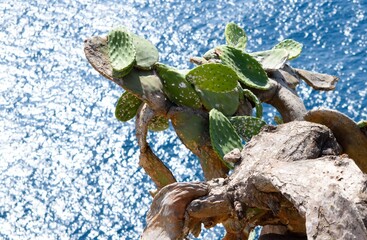 the beauty of summer in Spain