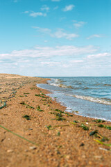 The shore of the bay. The coast of the Gulf of Finland. Sand. Water. Seaweed. Sandy shore. Waves.