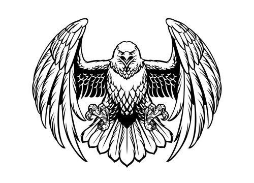 black and white eagle vector in high retailed style