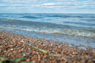The shore of the bay. The coast of the Gulf of Finland. Sand. Water. Seaweed. Sandy shore. Waves.