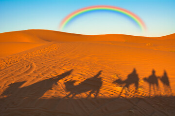 モロッコのサハラ砂漠にかかる虹