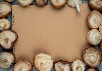 top view of fresh mushrooms arranged around a sketchbook on light blue background