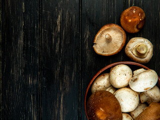 top view of fresh mushrooms in a  bowl on dark wooden background with copy space