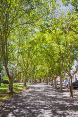 Plaza (Square) Ruiz de Arellano in San Antonio de Areco, Buenos Aires Province, Argentina  