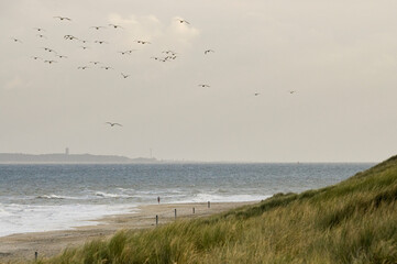 Jogger op strand, Jogger at beach