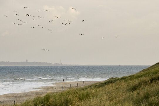 Jogger op strand, Jogger at beach