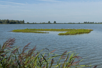 Uitzicht over Oostvaardersplassen, Overview of Oostvaardersplassen