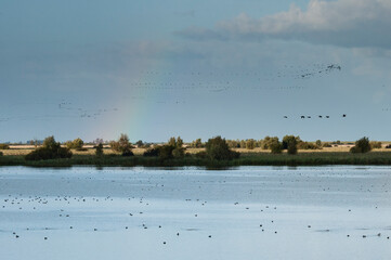 Regenboog boven waterplas, Rainbow over lake