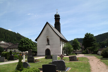 Fototapeta na wymiar Die Erlöserkirche in St. Blasien