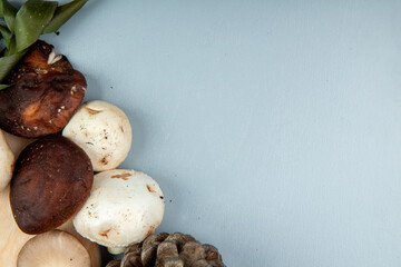 top view of fresh mushrooms on light blue background with copy space