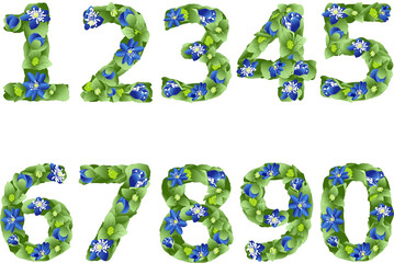 Naklejka premium vector image of ten Arabic numerals in the form of flowers and liverwort leaves