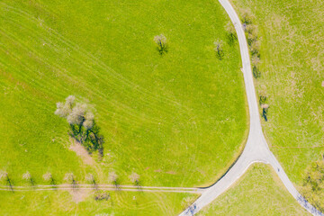 Field, trees and road. Aerial view.