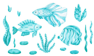 Naklejka premium Watercolor set with fish and algae. A cute image in monochrome azure, blue, green colors isolated on a white background