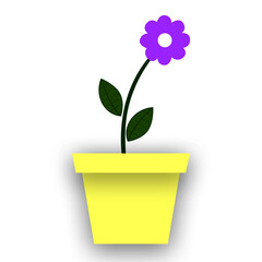flower in pot