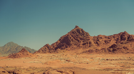Fototapeta na wymiar sandy hills horizon in Egypt at summer season