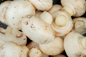 top view of fresh white mushrooms pattern of white mushrooms
