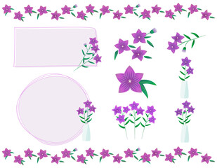 桔梗の花のベクターイラスト　キキョウ