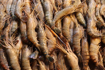  Close up to fresh shrimps on the market table partly covered with ice. Delicious prawns, best of seafood.