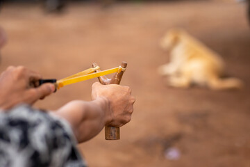 Select focus. The gangster boy's hand uses a slingshot to shoot the dog. concept of Anti-violence...