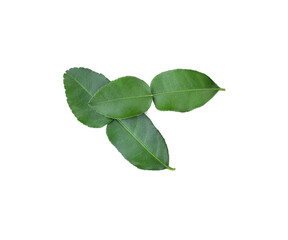 Fototapeta premium Bergamot fruit isolated on white background