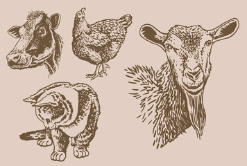 Vector vintage set of domestic animals on sepia background,farm animals