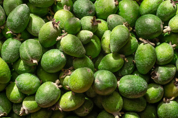Feijoa as background or texture