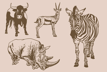 Vector vintage graphical set of African animals,savanna habitants