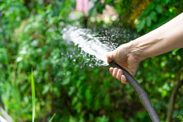 Watering plants with water in the garden