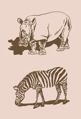 Vector vintage rhino and zebra,African animals sepia background
