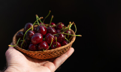 Ripe cherries on a black background