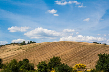 Fototapeta na wymiar Italia, Toscana, la campagna di Val d'Orcia (Siena)