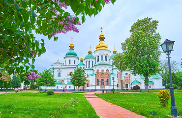 St Sophia Cathedral and lilac in blossom, Kyiv, Ukraine
