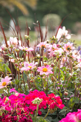 Obraz premium Keywords -- Keywords must be descriptive of the subject matter a